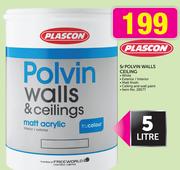 Plascon 5Ltr Polvin Walls Ceiling