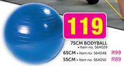 55cm Bodyball
