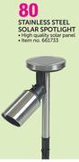 Stainless Steel Solar Spotlight
