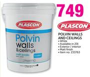 Plascon Polvin Walls And Ceilings-20Ltr