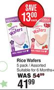 Kiddylicious Rice Wafers (5 Pack) Assorted