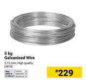 5Kg Galvanised Wire