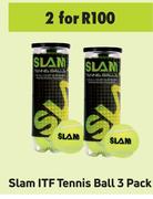 Slam ITF Tennis Ball 3 Pack-For 2