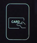 Olympia Time Cards-Each