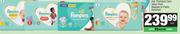 Pampers Baby Dry Disposable Nappies-Each