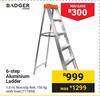 Badger 6-Step Aluminium Ladder 717494