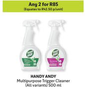 Handy Andy Multipurpose Trigger Cleaner (All Variants)-For Any 2 x 500ml