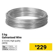 5Kg Galvanised Wire
