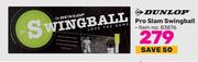 Dunlop Pro Slam Swingball