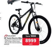 Raleigh 29" Assist Electric Bike-Each