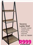 Savanna Ladder Shelf