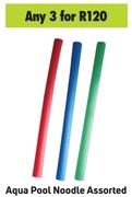 Aqua Pool Noodle Assorted-For Any 3