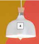 Metal & Wood Dome Pendant Light