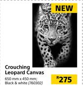Crouching Leopard Canvas 650mm x 450mm