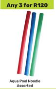 Aqua Pool Noodle Assorted-For Any 3