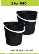 Miss Molly 9L Bucket-For 2