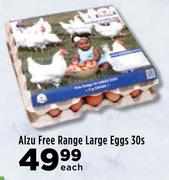 Alzu Free Range Large Eggs-30s Each