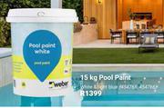 Weber 15Kg Pool Paint