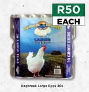 Dagbreek Large Eggs-30's Pack Each