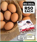 Alzu Extra Large Eggs-30's Each