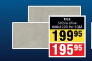 Tile Sefora Olive 600 x 1200-Per Sqm