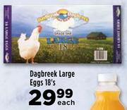 Dagbreek Large Eggs- 18's Pack