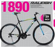 Raleigh 29" Rock Mountain Bike
