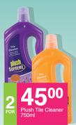 Plus Tile Cleaner-2x750ml