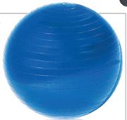 Trojan 75cm Workout Body Balls-Each