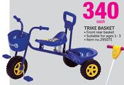 Trike Basket