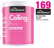 Homestead 5ltr Ceiling Paint