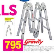 Gravity Wonder Ladder KL 7338-Each