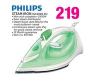 Philips Steam Iron GC1020 21