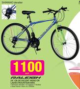 Raleigh 24" Or 26" Ascent Mens Or Ladies Mountain Bike