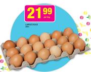 Large Eggs-18's Per Tray