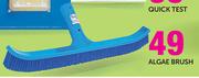 HTH Algae Brush