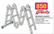 Gravity Wonder Ladder
