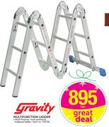 Gravity Multifunction Ladder-Each