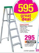 Issacsons Industrail Ladder