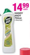 Handy Andy Assorted-750ml