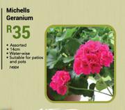 14cm Michells Geranium
