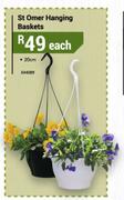 St Omer 20cm Hanging Baskets-Each