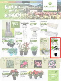 Agrimark : Nuture Your Garden (29 Aug - 15 Sep 2018), page 1