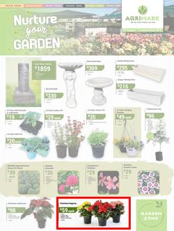 Agrimark : Nuture Your Garden (29 Aug - 15 Sep 2018), page 1
