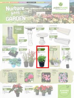 Agrimark : Nuture Your Garden (29 Aug - 15 Sep 2018), page 1