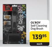 OL'Roy Self Cleaning Dog Brush-Each