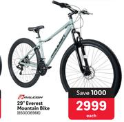 Raleigh 29" Everest Mountain Bike 850006966