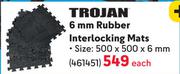 Trojan 6 mm Rubber Interlocking Mats 461451-Each