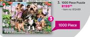 1000 Piece Puzzle