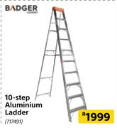 Badger 10 Step Aluminium Ladder